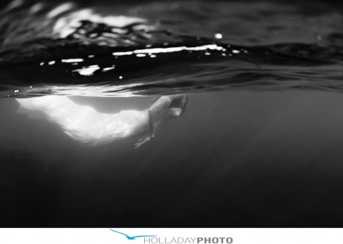 SILVIA & MATT : TRASH THE DRESS – NORTH SHORE HAWAII – Holladay Photo